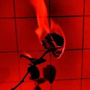 Meet your Posher, Abigail